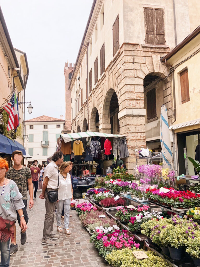 Flower market in full bloom along a cobbled street in Bassano del Grappa, framed by Renaissance architecture and shoppers enjoying the local stalls.