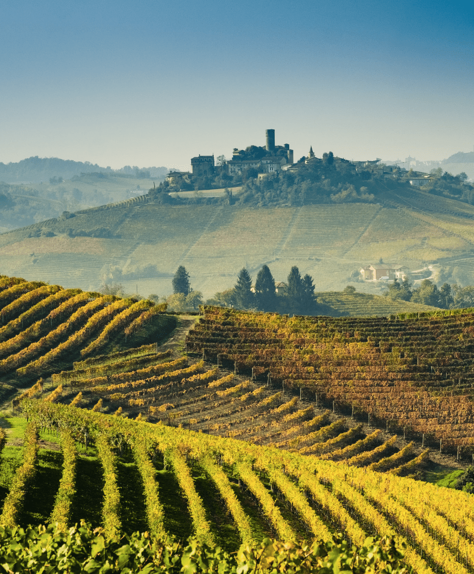 Southern Italy wine and culinary tour